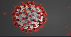 Arash Hadipour Niktarash