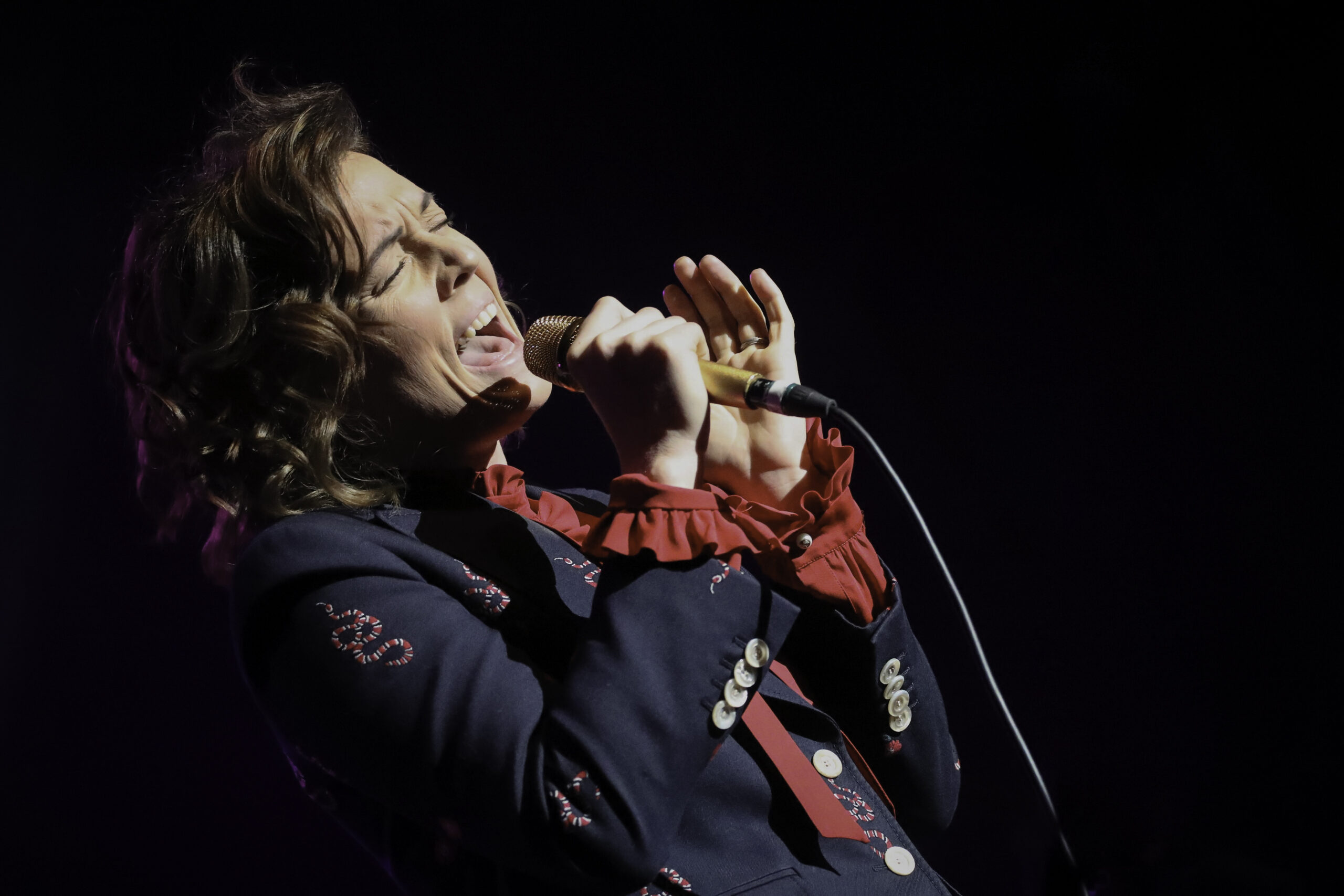 Brandi Carlile’s Net worth Everything You Need to Know